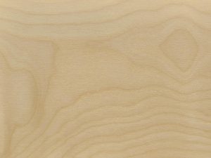 Birch face/ Italian Poplar core grade B/BB